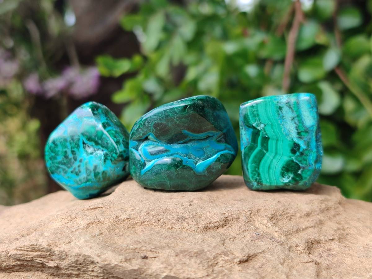 Polished Malacolla Free Forms x 20 From Kalukundi Mine, Congo - Toprock Gemstones and Minerals 