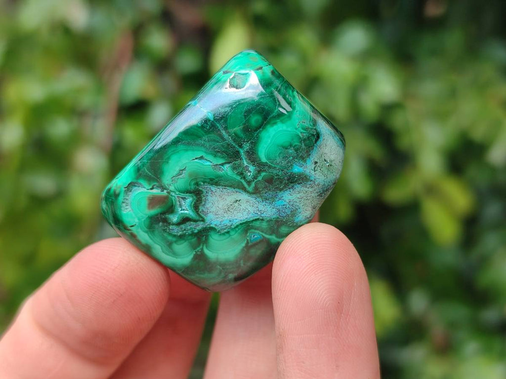 Polished Malacolla Free Forms x 20 From Kalukundi Mine, Congo - Toprock Gemstones and Minerals 