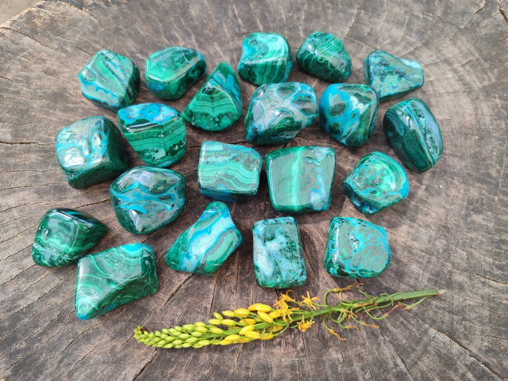 Polished Malacolla Free Forms x 20 From Kalukundi Mine, Congo - Toprock Gemstones and Minerals 