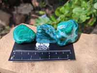 Polished Malacolla Free Forms x 20 From Kalukundi Mine, Congo