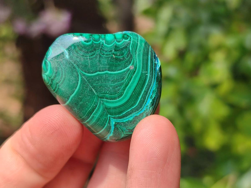 Polished Malacolla Free Forms x 20 From Kalukundi Mine, Congo - Toprock Gemstones and Minerals 