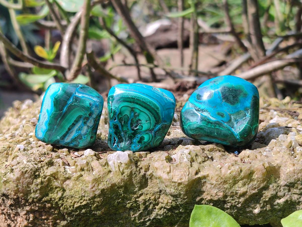 Polished Malacolla Free Forms x 20 From Kalukundi Mine, Congo - Toprock Gemstones and Minerals 