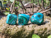 Polished Malacolla Free Forms x 20 From Kalukundi Mine, Congo