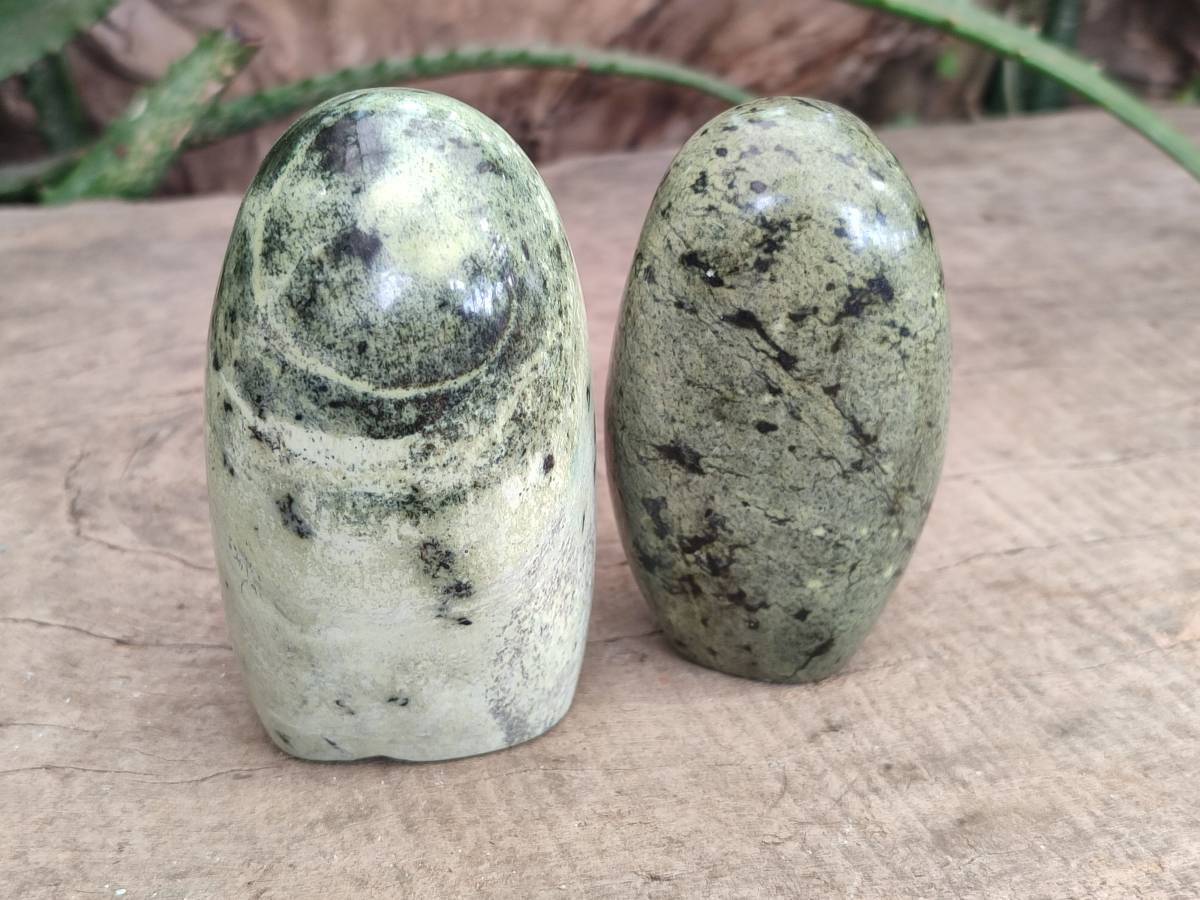 Polished Leopard Stone Standing Free Form, Free Form x 6 From Zimbabwe - Toprock Gemstones and Minerals 