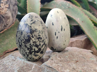 Polished Leopard Stone Standing Free Form, Free Form x 6 From Zimbabwe