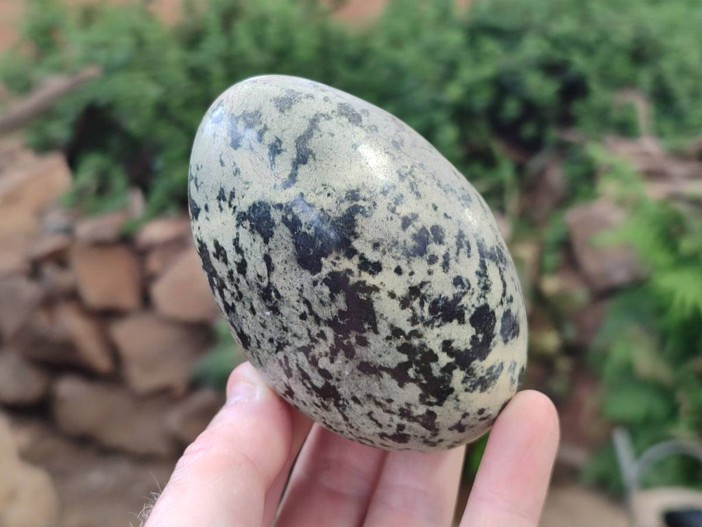 Polished Leopard Stone Standing Free Form, Free Form x 6 From Zimbabwe - Toprock Gemstones and Minerals 