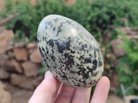 Polished Leopard Stone Standing Free Form, Free Form x 6 From Zimbabwe