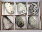 Polished Leopard Stone Standing Free Form, Free Form x 6 From Zimbabwe - Toprock Gemstones and Minerals 