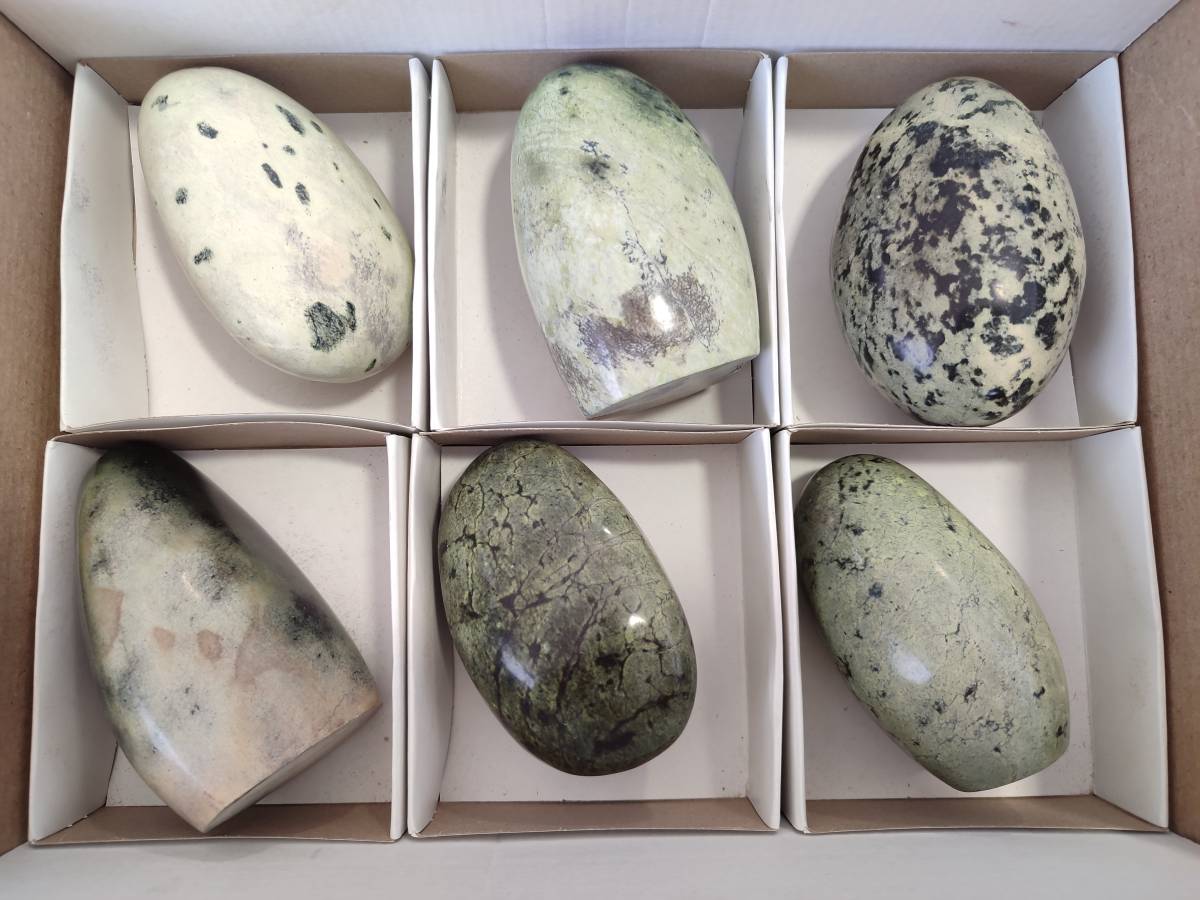 Polished Leopard Stone Standing Free Form, Free Form x 6 From Zimbabwe - Toprock Gemstones and Minerals 