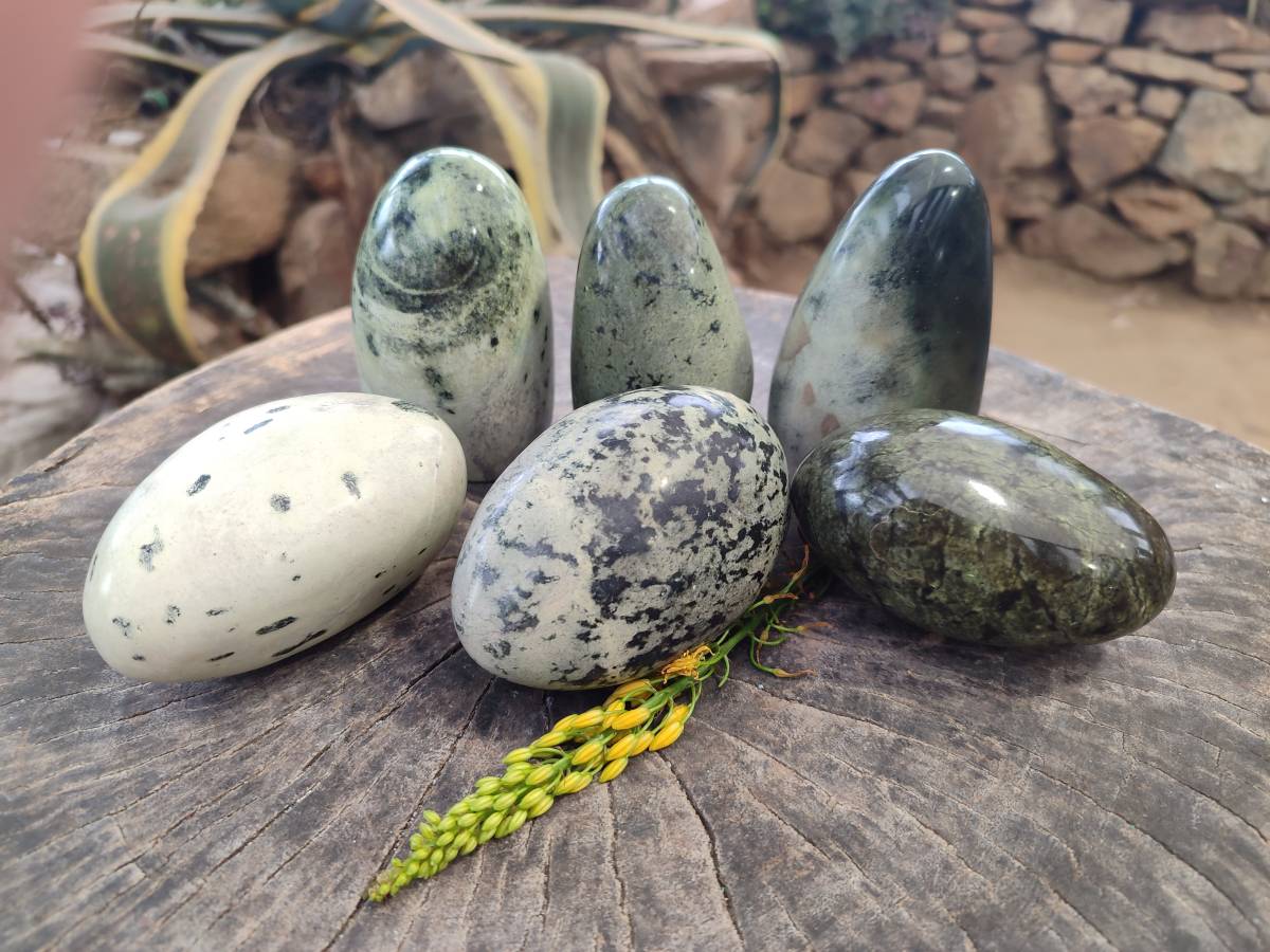 Polished Leopard Stone Standing Free Form, Free Form x 6 From Zimbabwe - Toprock Gemstones and Minerals 