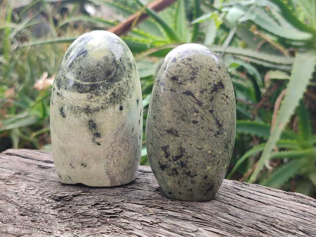 Polished Leopard Stone Standing Free Form, Free Form x 6 From Zimbabwe - Toprock Gemstones and Minerals 