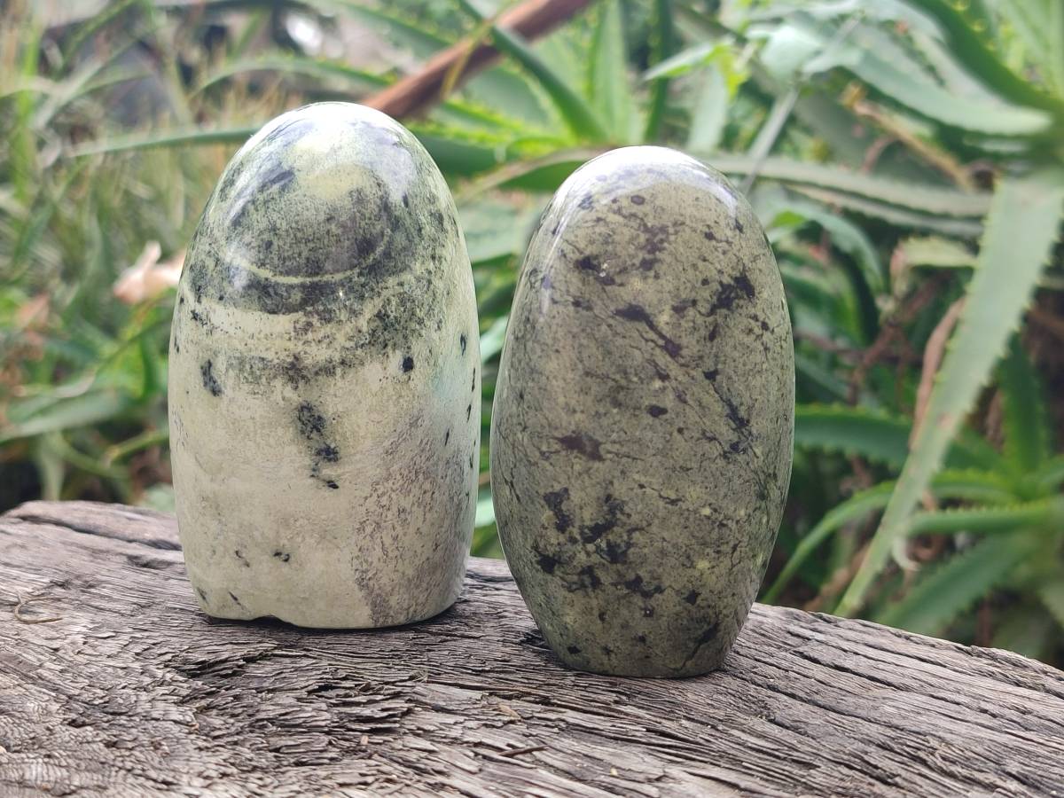 Polished Leopard Stone Standing Free Form, Free Form x 6 From Zimbabwe - Toprock Gemstones and Minerals 