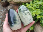 Polished Leopard Stone Standing Free Form, Free Form x 6 From Zimbabwe - Toprock Gemstones and Minerals 