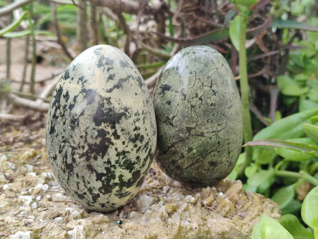 Polished Leopard Stone Standing Free Form, Free Form x 6 From Zimbabwe - Toprock Gemstones and Minerals 
