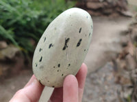 Polished Leopard Stone Standing Free Form, Free Form x 6 From Zimbabwe