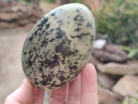 Polished Leopard Stone Standing Free Form, Free Form x 6 From Zimbabwe