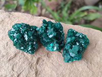 Natural Dioptase On Dolomite Specimens x 20 From Likasi, Congo