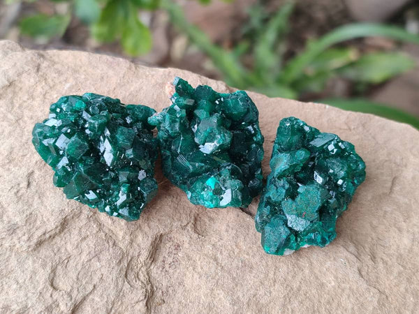 Natural Dioptase On Dolomite Specimens x 20 From Likasi, Congo