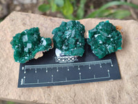 Natural Dioptase On Dolomite Specimens x 20 From Likasi, Congo