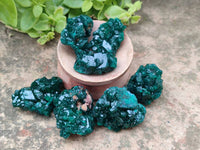 Natural Dioptase On Dolomite Specimens x 20 From Likasi, Congo