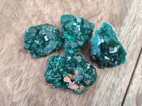 Natural Dioptase On Dolomite Specimens x 20 From Likasi, Congo