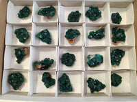Natural Dioptase On Dolomite Specimens x 20 From Likasi, Congo