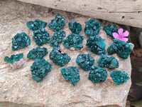 Natural Dioptase On Dolomite Specimens x 20 From Likasi, Congo