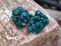 Natural Dioptase On Dolomite Specimens x 20 From Likasi, Congo