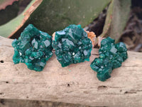 Natural Dioptase On Dolomite Specimens x 20 From Likasi, Congo