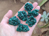 Natural Dioptase On Dolomite Specimens x 20 From Likasi, Congo