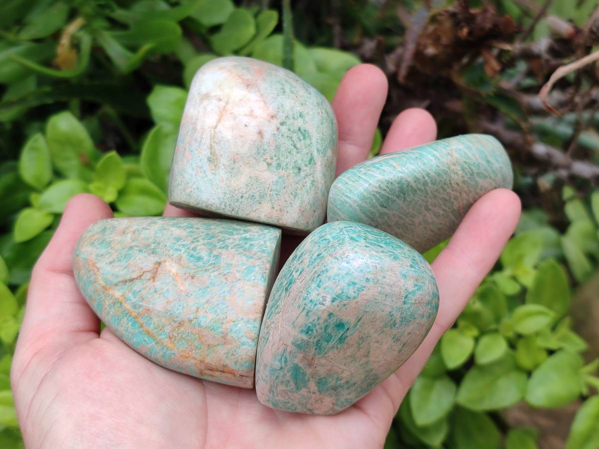 Polished Amazonite Standing Free Forms x 12 From Zimbabwe - Toprock Gemstones and Minerals 