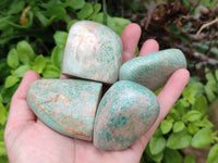 Polished Amazonite Standing Free Forms x 12 From Zimbabwe