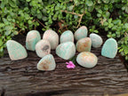 Polished Amazonite Standing Free Forms x 12 From Zimbabwe - Toprock Gemstones and Minerals 