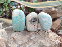 Polished Amazonite Standing Free Forms x 12 From Zimbabwe
