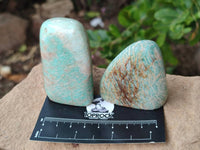 Polished Amazonite Standing Free Forms x 12 From Zimbabwe