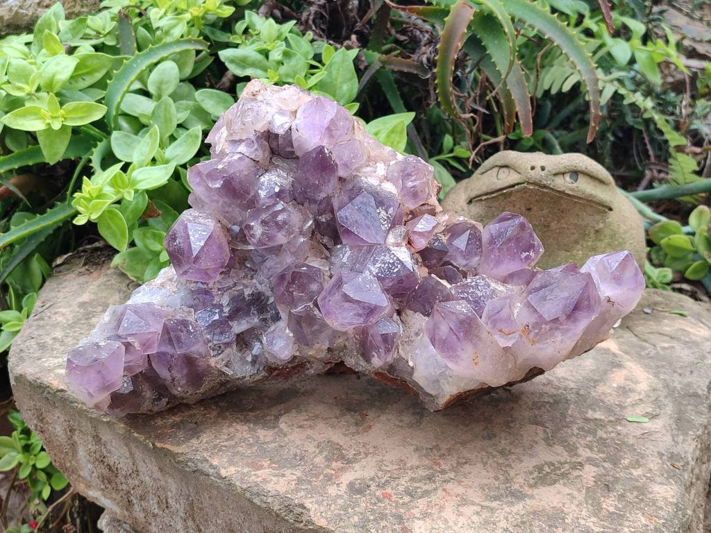 Natural Jacaranda Amethyst Quartz Cluster x 1 From Mumbwa, Zambia - Toprock Gemstones and Minerals 