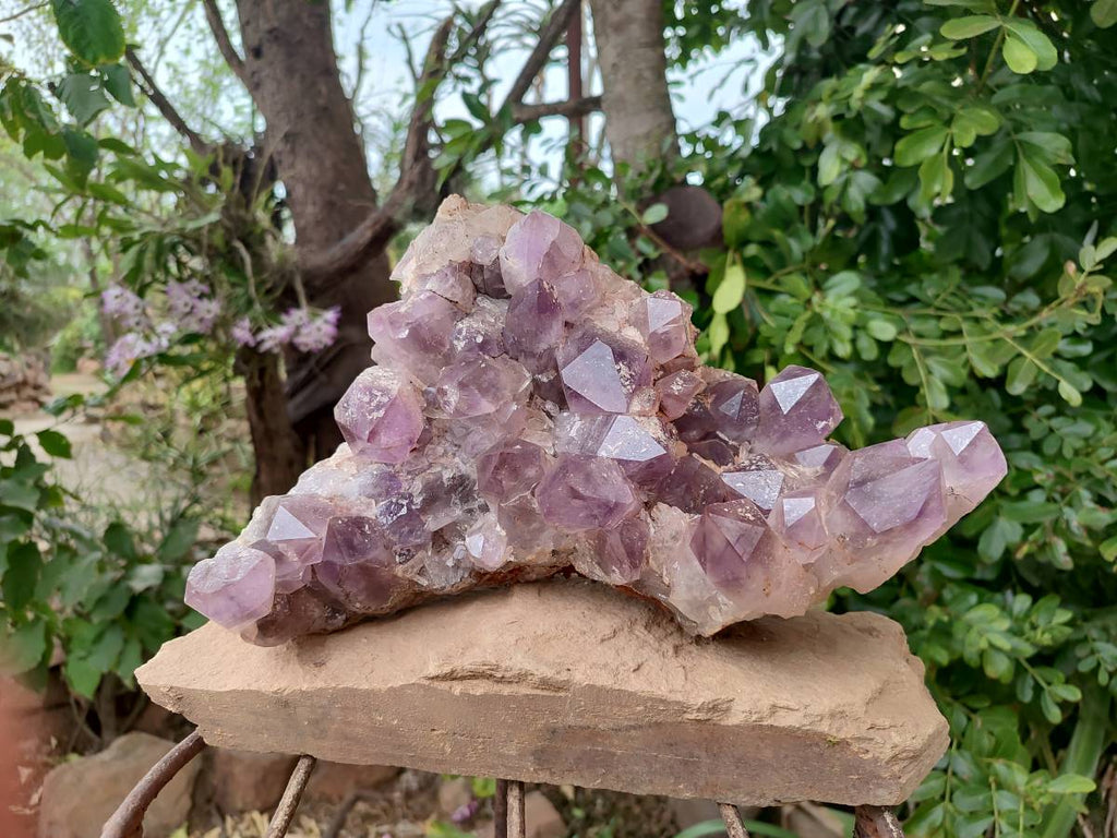 Natural Jacaranda Amethyst Quartz Cluster x 1 From Mumbwa, Zambia - Toprock Gemstones and Minerals 