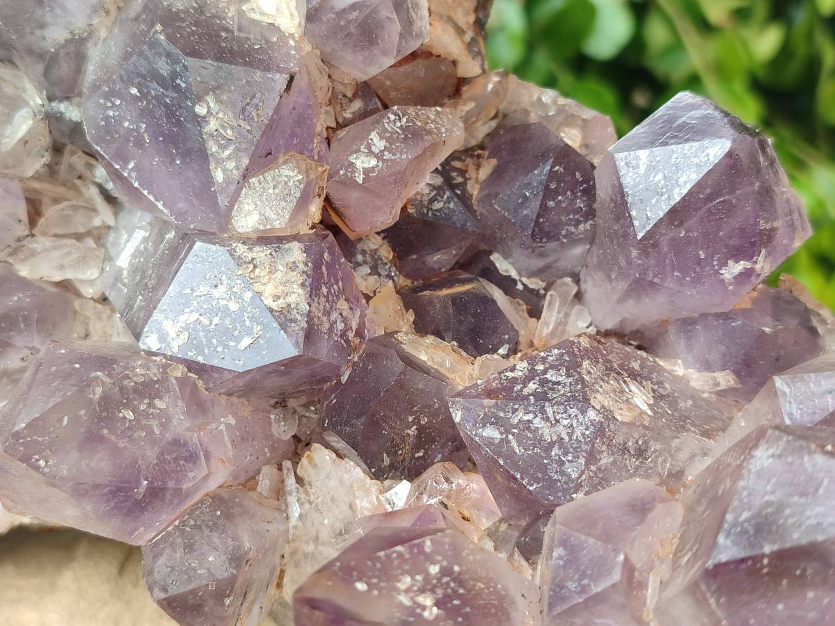 Natural Jacaranda Amethyst Quartz Cluster x 1 From Mumbwa, Zambia - Toprock Gemstones and Minerals 