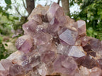 Natural Jacaranda Amethyst Quartz Cluster x 1 From Mumbwa, Zambia - Toprock Gemstones and Minerals 