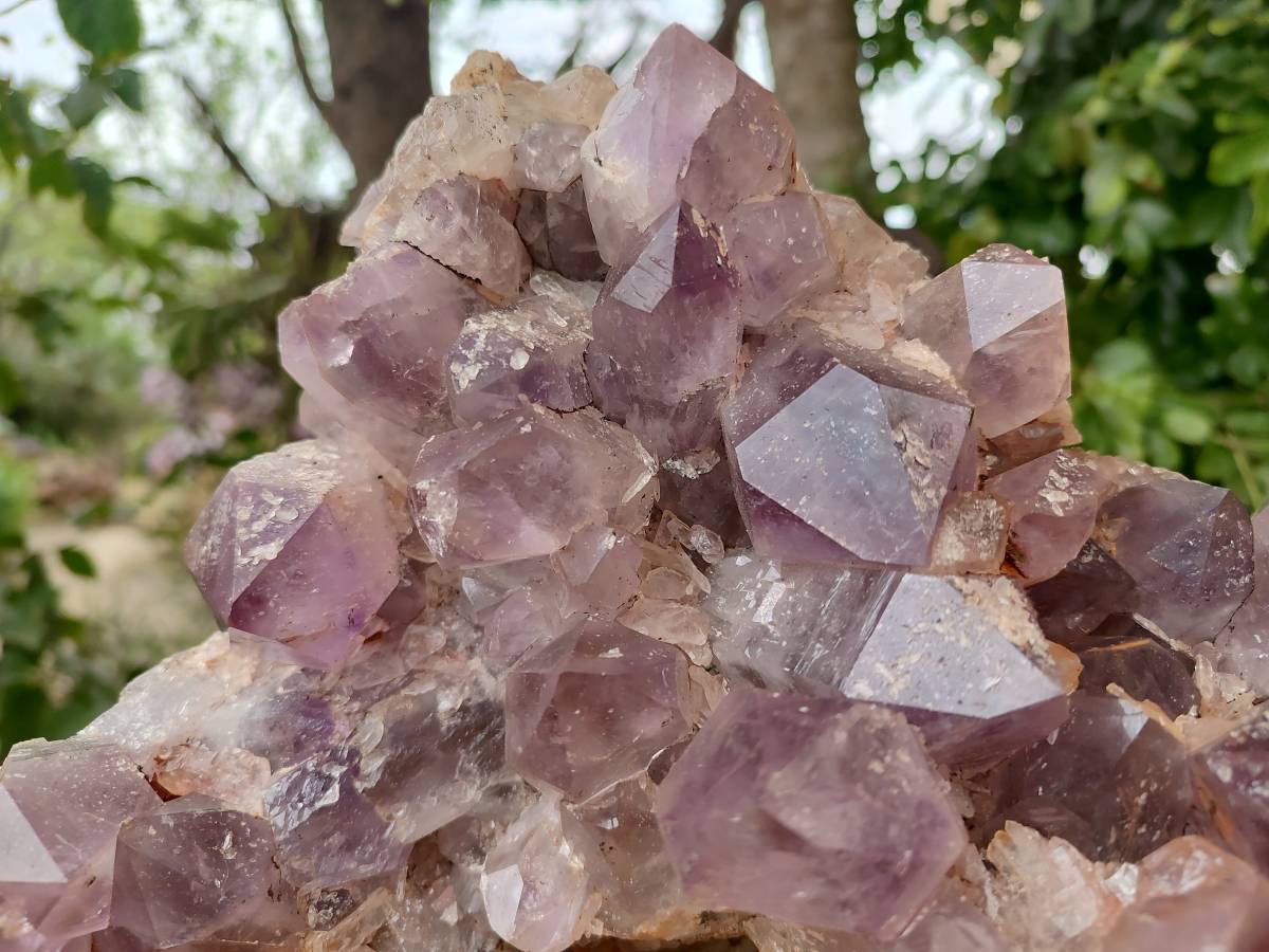 Natural Jacaranda Amethyst Quartz Cluster x 1 From Mumbwa, Zambia - Toprock Gemstones and Minerals 