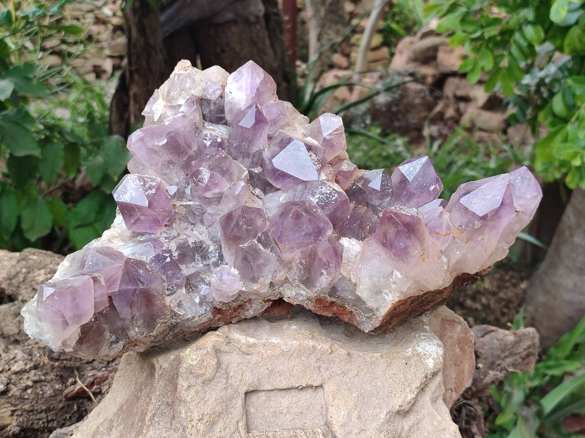 Natural Jacaranda Amethyst Quartz Cluster x 1 From Mumbwa, Zambia - Toprock Gemstones and Minerals 