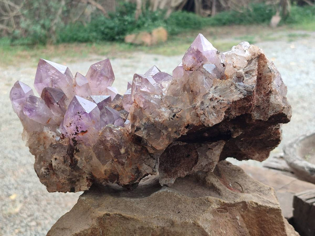 Natural Jacaranda Amethyst Quartz Cluster x 1 From Mumbwa, Zambia - Toprock Gemstones and Minerals 