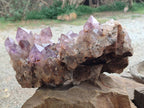 Natural Jacaranda Amethyst Quartz Cluster x 1 From Mumbwa, Zambia - Toprock Gemstones and Minerals 