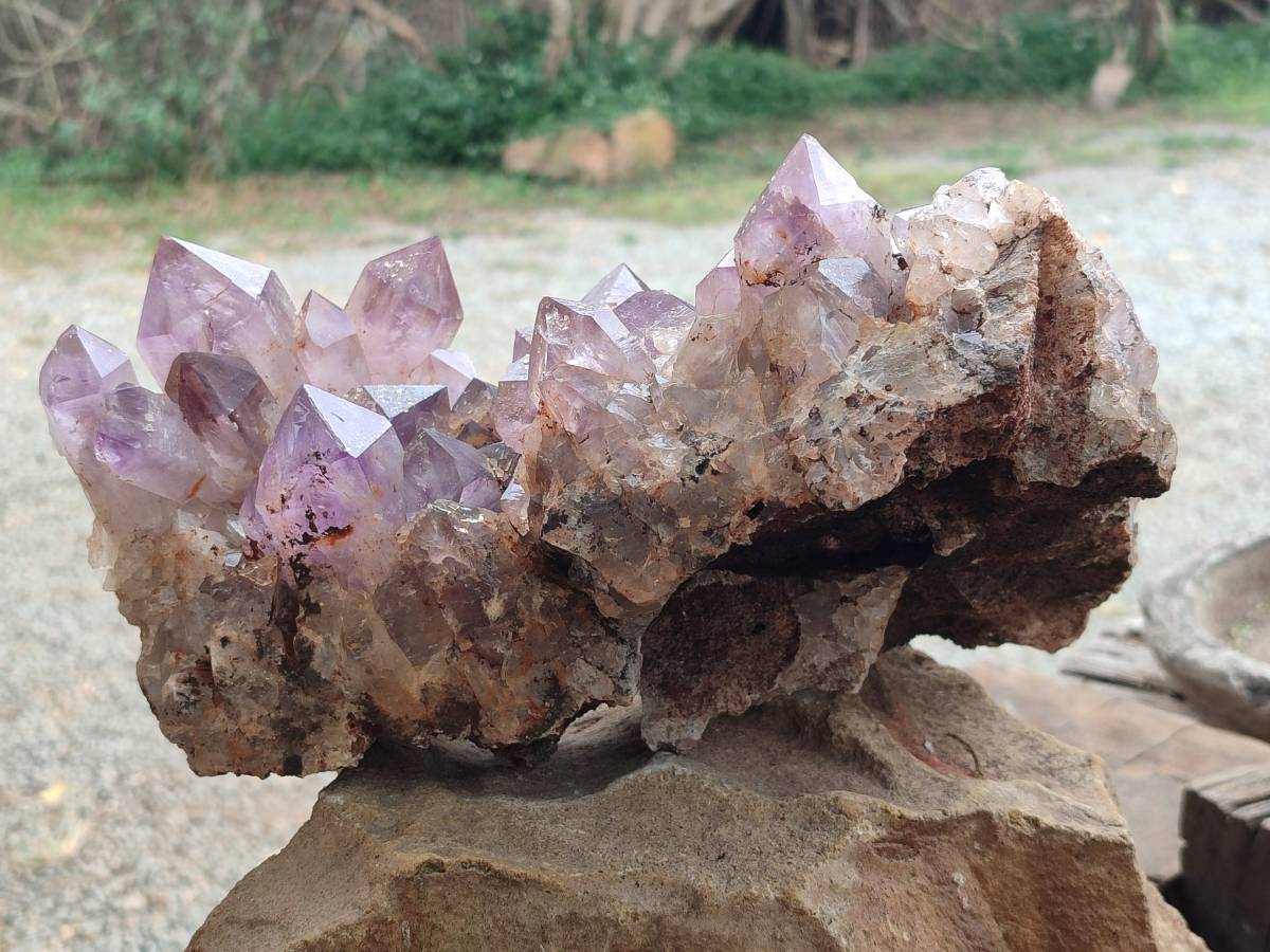 Natural Jacaranda Amethyst Quartz Cluster x 1 From Mumbwa, Zambia - Toprock Gemstones and Minerals 