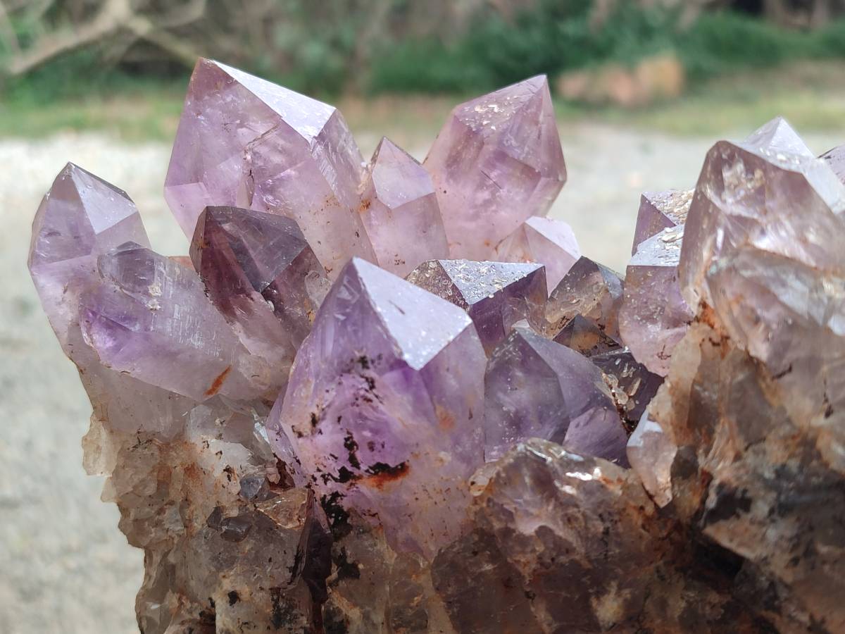 Natural Jacaranda Amethyst Quartz Cluster x 1 From Mumbwa, Zambia - Toprock Gemstones and Minerals 