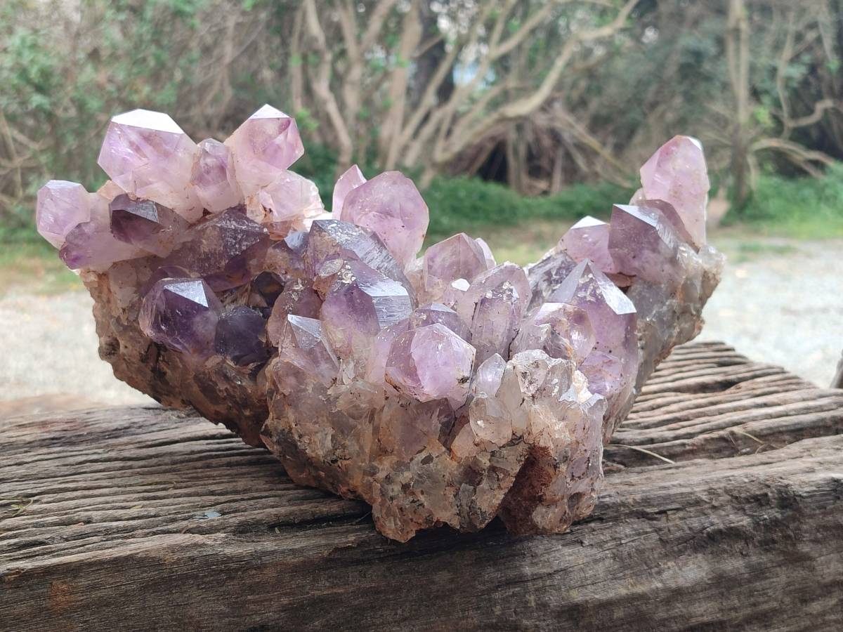 Natural Jacaranda Amethyst Quartz Cluster x 1 From Mumbwa, Zambia - Toprock Gemstones and Minerals 