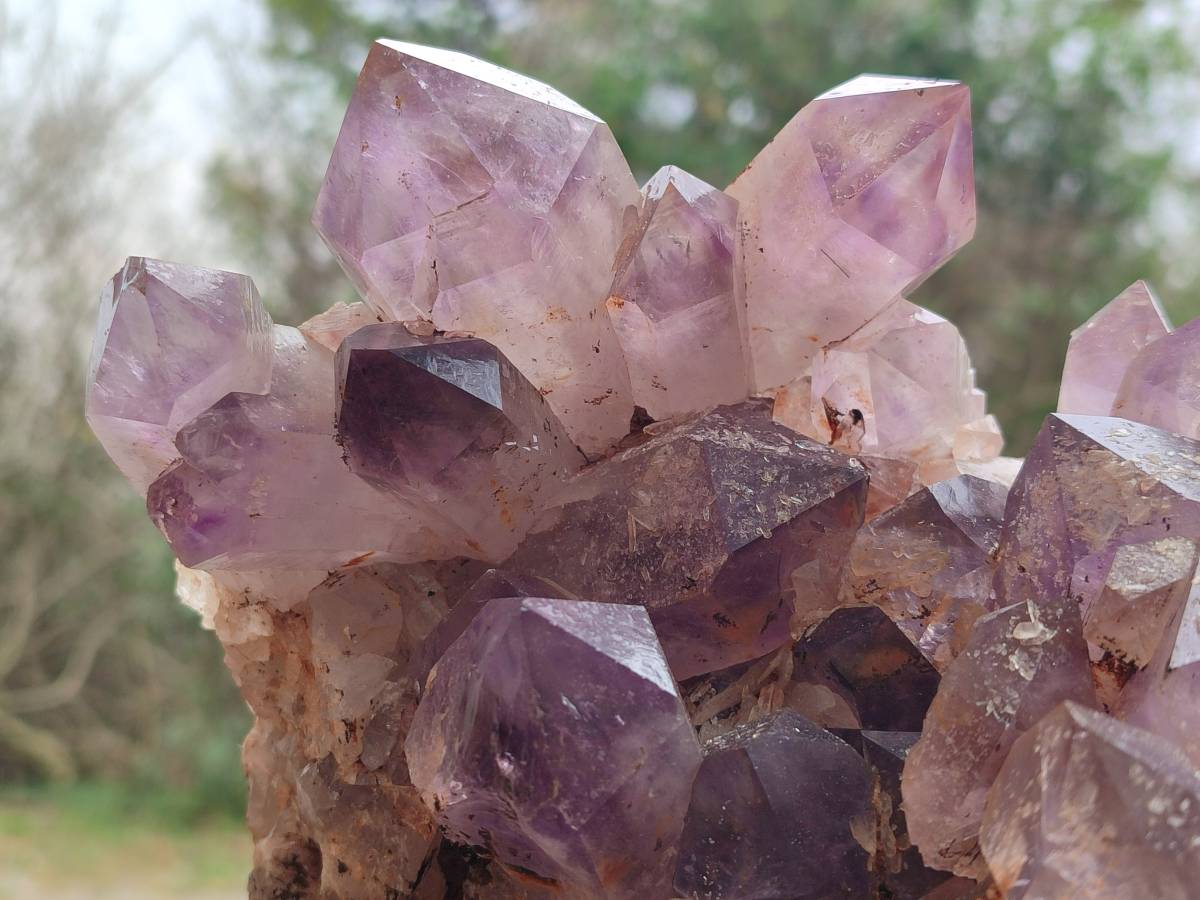 Natural Jacaranda Amethyst Quartz Cluster x 1 From Mumbwa, Zambia - Toprock Gemstones and Minerals 