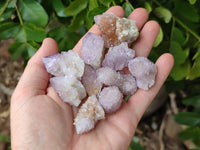 Natural Amethyst Spirit Quartz Crystals x 70 From Boekenhouthoek, South Africa