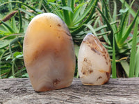 Polished Smokey Dendritic Agate Standing Free Forms x 3 From Madagascar
