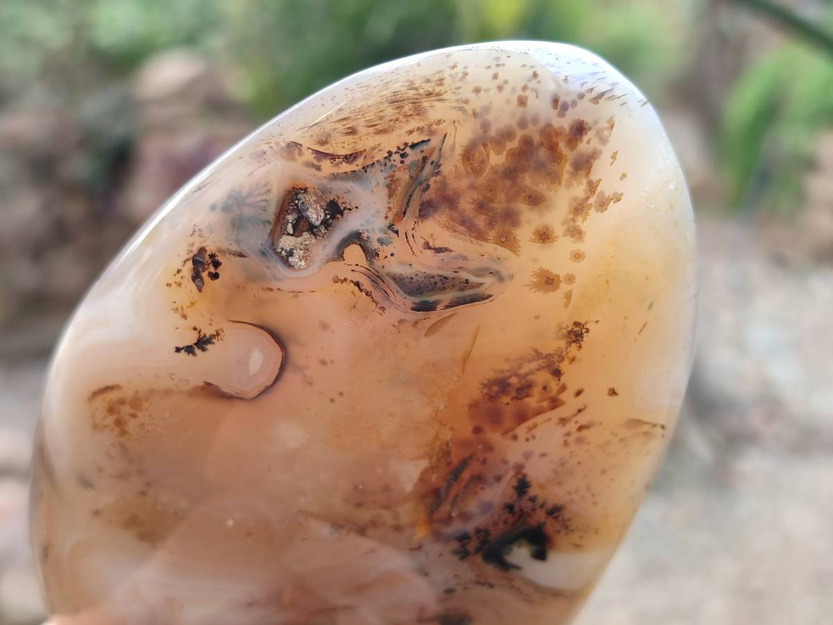 Polished Smokey Dendritic Agate Standing Free Forms x 3 From Madagascar - Toprock Gemstones and Minerals 